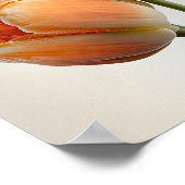 Orange Tulips Blume Art Print Poster (Ecke)