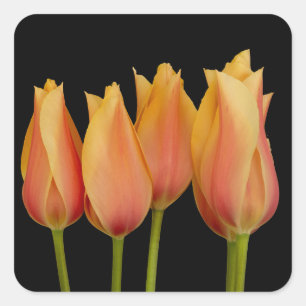 Orange Tulips Blumenkleber Quadratischer Aufkleber