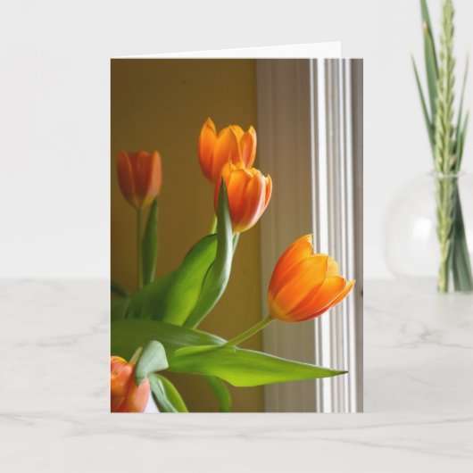 Orange Tulips | Brad Hines Fotografy Notecard Karte (Vorderseite)