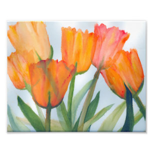Orange Tulips Foto