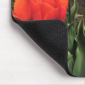 Orange Tulips in a Field, Oregon Mousepad (Ecke)
