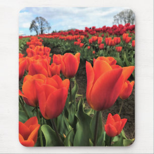 Orange Tulips in a Field, Oregon Mousepad