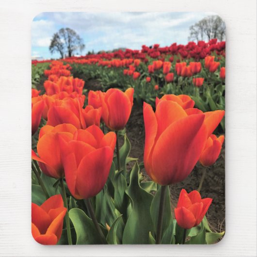 Orange Tulips in a Field, Oregon Mousepad (Vorne)
