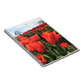 Orange Tulips in a Field, Oregon Notizblock (Rechte Seite)