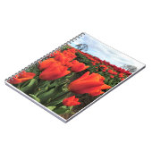 Orange Tulips in a Field, Oregon Notizblock (Linke Seite)