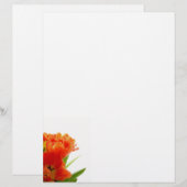 Orange Tulips Letterhead (Vorne/Hinten)