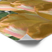 Orange Tulips Mill Holland Poster Art (Ecke)