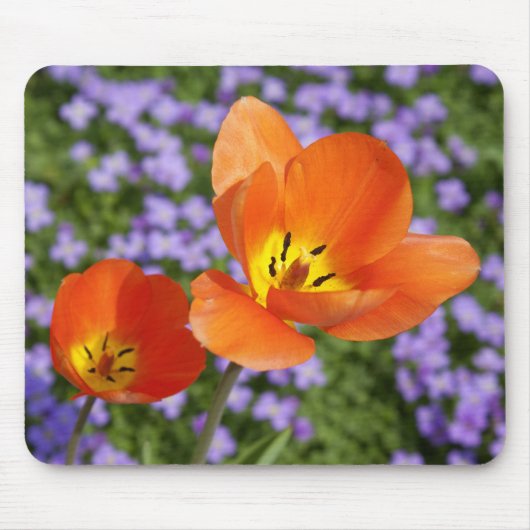 Orange Tulips Mousepad (Vorne)