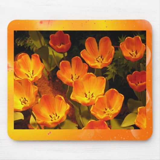 Orange Tulips Mousepad (Vorne)