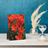 Orange Tulips, Oregon Fotoplatte (Seite)