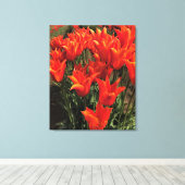 Orange Tulips, Oregon Leinwanddruck (Insitu (Holzboden))