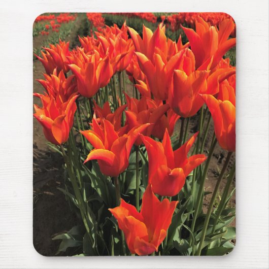 Orange Tulips, Oregon Mousepad (Vorne)