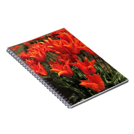 Orange Tulips, Oregon Notizblock (Rechte Seite)