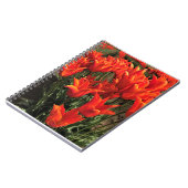 Orange Tulips, Oregon Notizblock (Linke Seite)