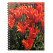 Orange Tulips, Oregon Notizblock (Vorderseite)