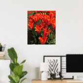Orange Tulips, Oregon Poster (Heimbüro)