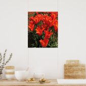 Orange Tulips, Oregon Poster (Küche)