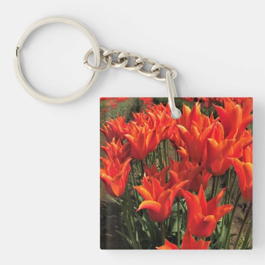 Orange Tulips, Oregon Schlüsselanhänger (Vorderseite)