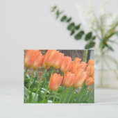 Orange Tulips Postcard Postkarte (Stehend Vorderseite)