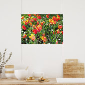 Orange Tulips Poster (Küche)