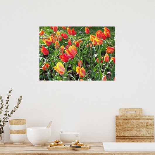 Orange Tulips Poster (Küche)