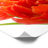 Orange Tulips Poster (Ecke)