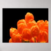Orange Tulips Poster (Vorne)