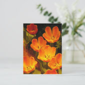 Orange Tulips Postkarte (Stehend Vorderseite)