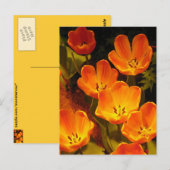 Orange Tulips Postkarte (Vorne/Hinten)