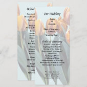 Orange Tulips Programm (Vorne/Hinten)