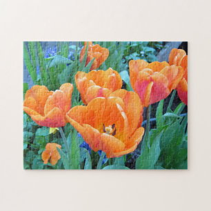 Orange Tulips Puzzle