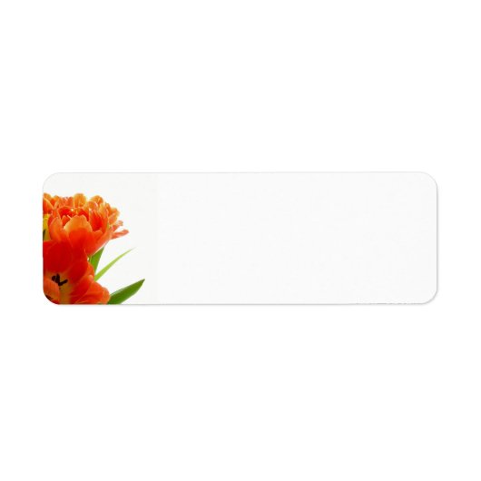 Orange Tulips Rücksendeadressen-Aufkleber (Vorne)