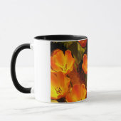 Orange Tulips Tasse (Links)