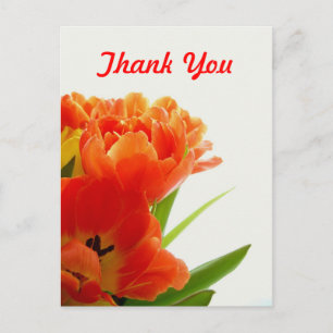 Orange Tulips Vielen Dank Postkarten