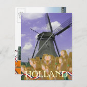 Orange Tulips Windmill Holland Postcard Postkarte (Vorne/Hinten)