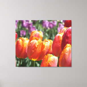 Orange Tulips Wrapped Canvas Print Leinwanddruck