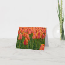 Orange Tulpe Fine Art Fotografie gefaltete Notizka
