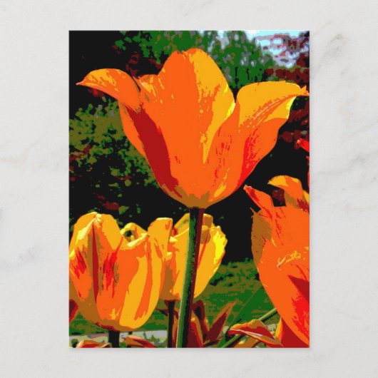 Orange Tulpe Postkarte (Vorderseite)