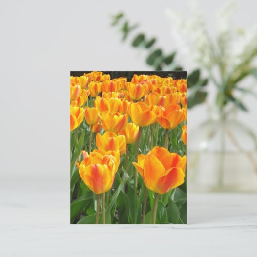 Orange Tulpen Postkarte (Stehend Vorderseite)