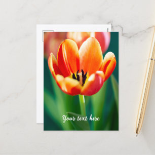 Orange Tulpen-Postkarte Feiertagspostkarte