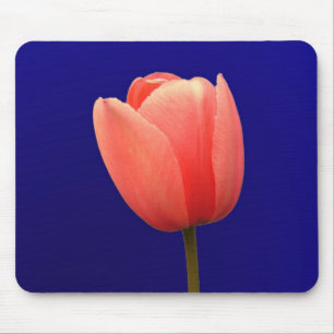 orange Tulpenblume auf blauem Hintergrund Mousepad