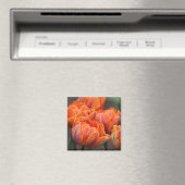 Orange-Tulpenmagnet Magnet (In Situ (Geschirrspüler))