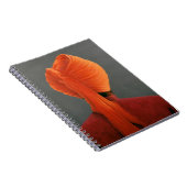 Orange Turban Notizblock (Rechte Seite)