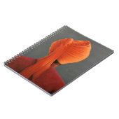 Orange Turban Notizblock (Linke Seite)