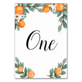 Orange Twin Baby Showthema Tischnummer (Rückseite)