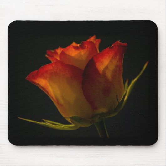 Orange u. gelbe Rose Mousepad (Vorne)