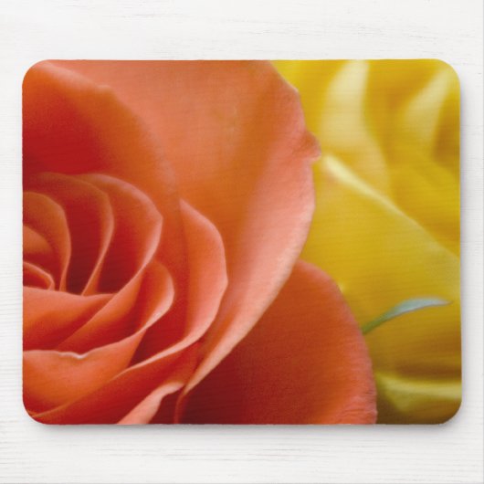 Orange u. gelbe Rosen Mousepad (Vorne)