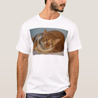 Orange u. weiße Katze T-Shirt