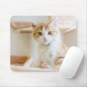 Orange u. weißes Kätzchen Mousepad (Mit Mouse)