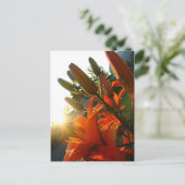 Orange Un Bloomed Postkarte (Stehend Vorderseite)